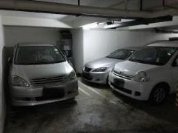 Rare3 Car Park for Sale in Braemar Hill image 1