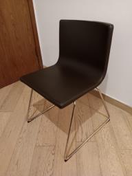 Bernhard image 1