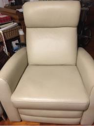 Reclining Chair image 1