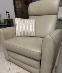 Reclining Chair image 1