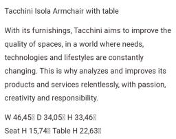 Tacchini Lounge chair image 2