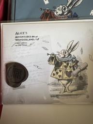 Alice in the Wonderland Dairy  Notebook image 8