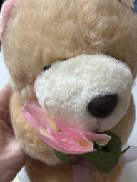 Forever friends bear image 4