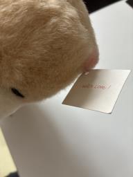 Forever friends bear image 5