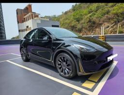 2023 Tesla Model Y Rwd last Call image 1