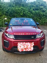 Evoque Convertible Modern Classic image 1