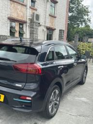 Kia Niro Ev Suv 2021 image 2