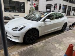Tesla Model 3 Performance image 2