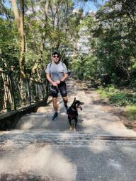 Dog walking and sitting image 1