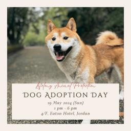 Lap Dog Adoption Day image 1