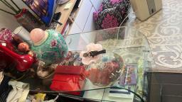 Italian Glass Side tablestudy desk image 1