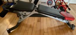 Bowflex Bench image 2