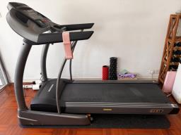 Horizon Elite T51 Treadmill image 1