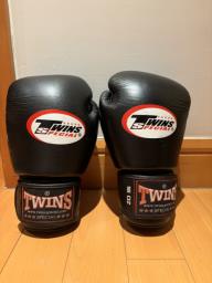 Twins Special Boxing Gloves 16oz image 1