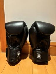 Twins Special Boxing Gloves 16oz image 2