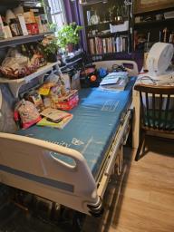 Electric Hospital Bed for Free image 1