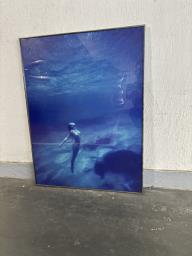 Framed posters image 5