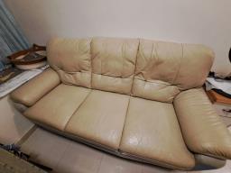 Free Sofa image 1