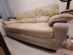 Free Sofa image 2