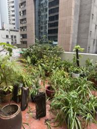 Lots of plants and folding chairs image 1