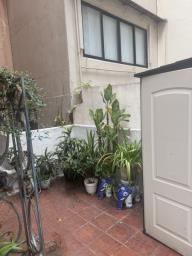 Lots of plants and folding chairs image 3