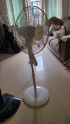 Standing Fan matsusho 16 inches image 1
