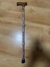 Walking stick image 1