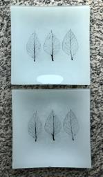 Pair of decorative glass plates image 1