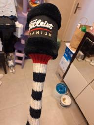 Titleist 1 driver image 1