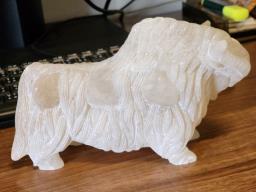 Fighting Bull image 2
