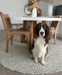 Miss Amara rug 2400mm diameter image 1