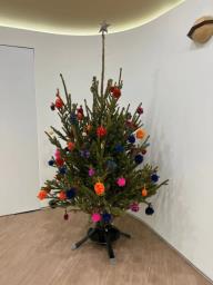 Order your xmas tree now Free delivery image 7
