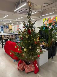 Order your xmas tree now Free delivery image 9
