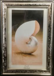 Photo Frames image 1