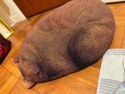 Super cute bear cushion pillow image 1
