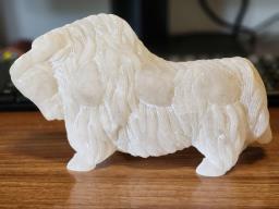 Wild Yak image 1
