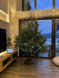 Xmas tree  Free Delivery All Over Hk image 2