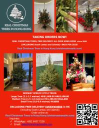 Xmas tree  Free Delivery All Over Hk image 9