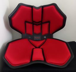 Backup Portable Lumbar Support image 1