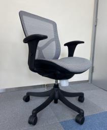 Ergonomic Office Chair image 1