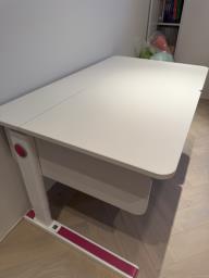 Moll Champion desk excellent condition image 3