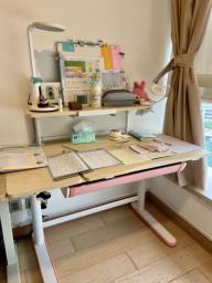 Stående Height Adjustable Desk image 2