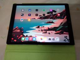 Ipad Pro 1st image 1