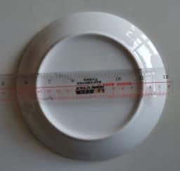 18cm single dish image 2