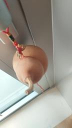 Dried Gourd decoration image 3