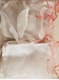 farming tomato or fruit 25 protect bags image 1