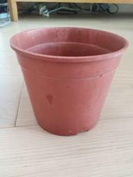 flower pot image 1