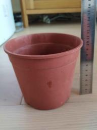 flower pot image 2