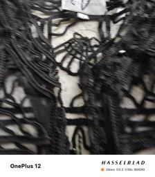 Lace Outerwear image 1