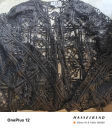 Lace Outerwear image 2
